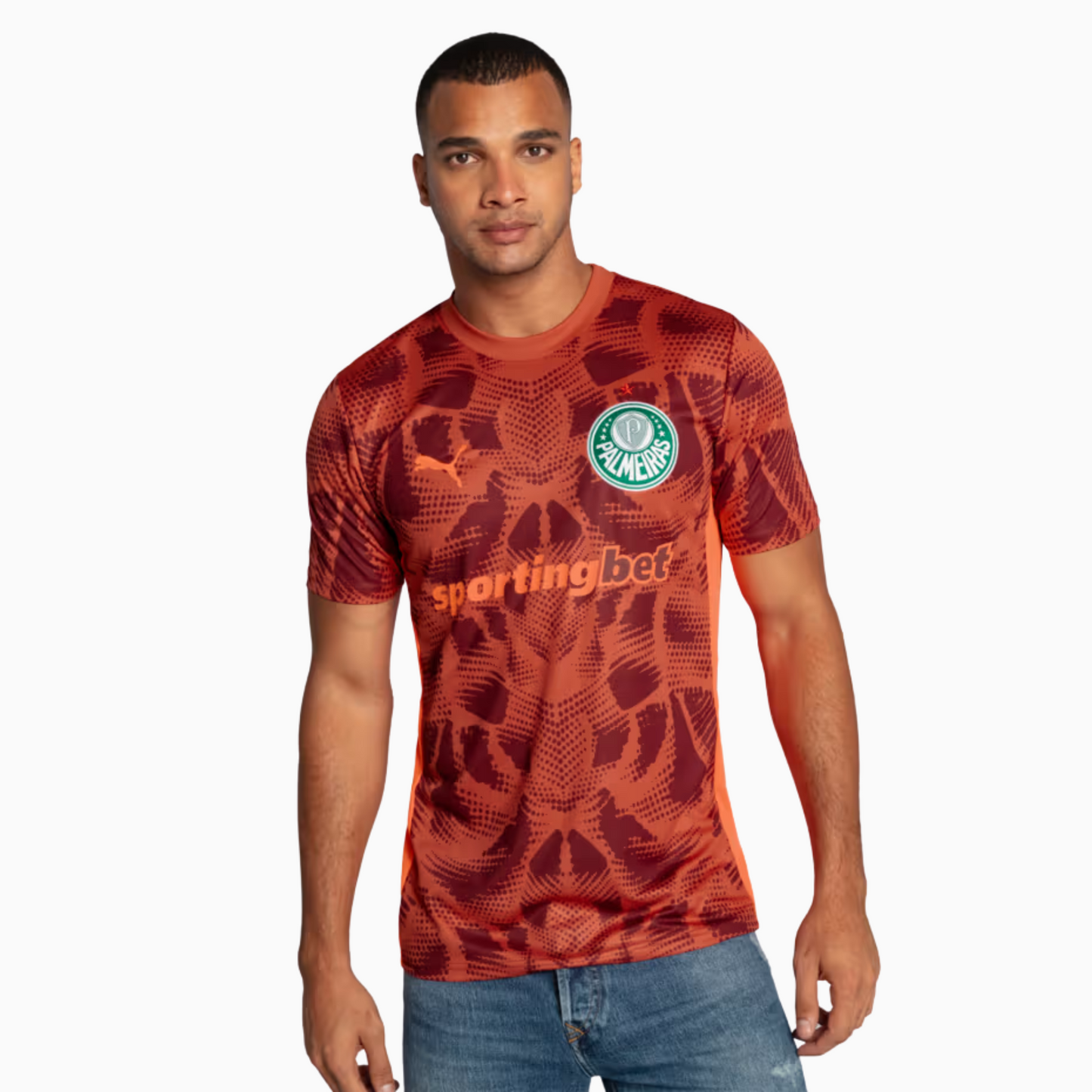 Camisa Puma Palmeiras 2025/26 Goleiro II